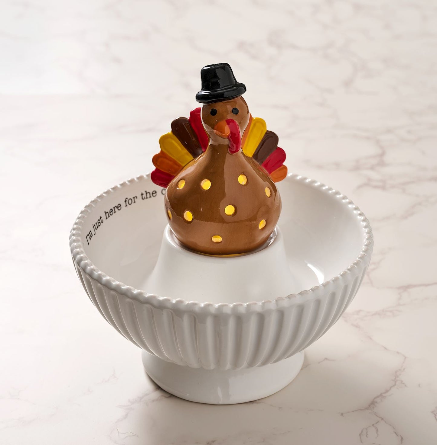 Turkey Light- Up Sitter