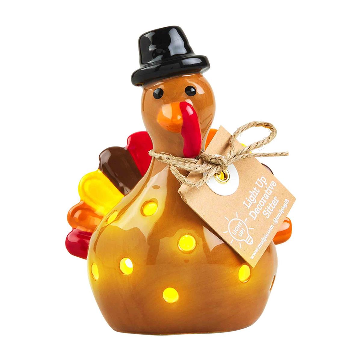 Turkey Light- Up Sitter