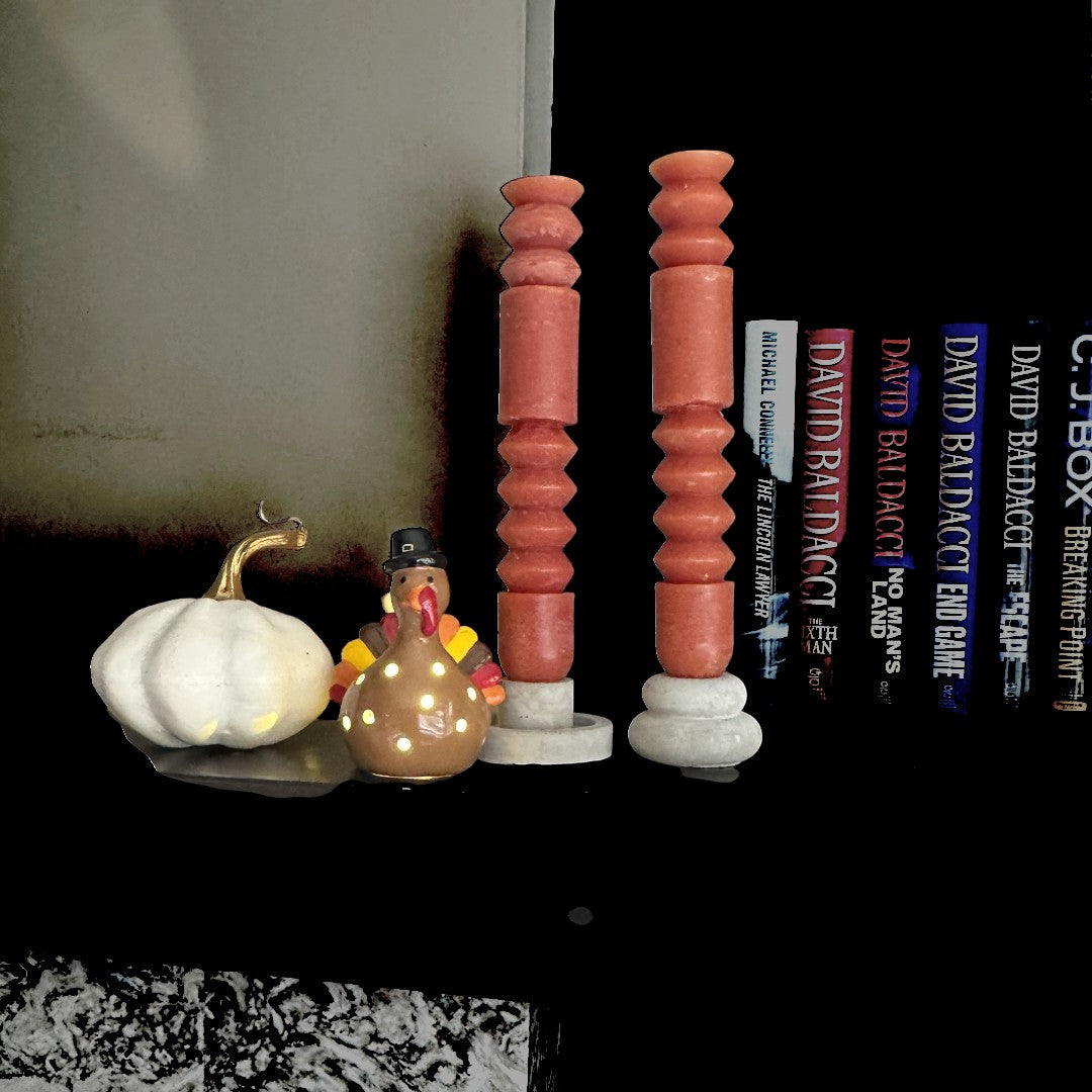 Turkey Light- Up Sitter