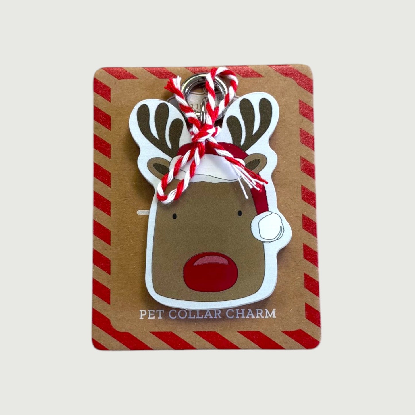 Holiday Pet Collar Light Up Charm